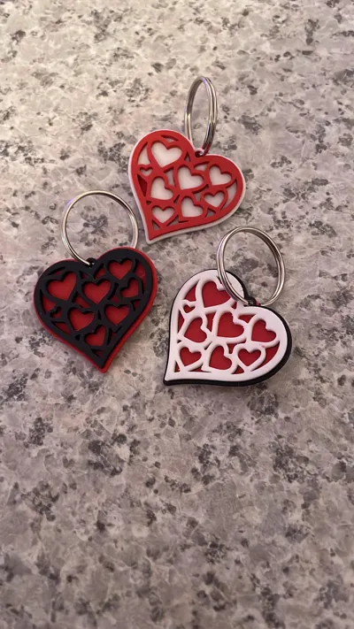 https://makerworld.bblmw.com/makerworld/comment/20260214/2273712573/cee39651664ecf41.jpg