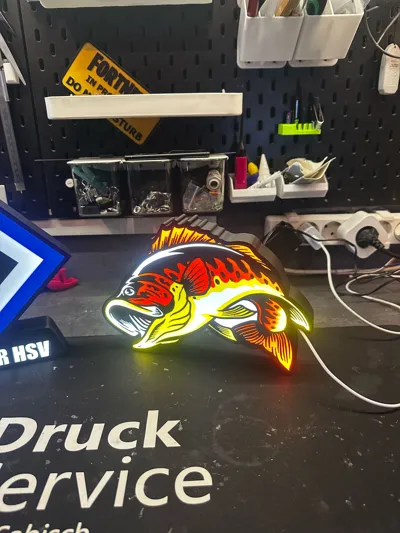 https://makerworld.bblmw.com/makerworld/comment/20260214/2345969638/740177ae4860d40b.jpg