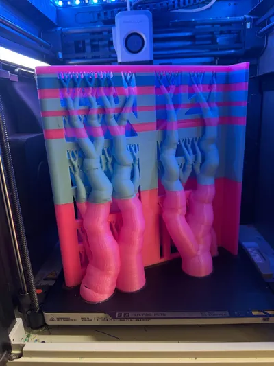 https://makerworld.bblmw.com/makerworld/comment/20260214/2351150556/46e3ca1cbf0128c9.jpg