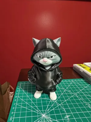 https://makerworld.bblmw.com/makerworld/comment/20260214/2426698435/48a15773cfdc7104.jpeg