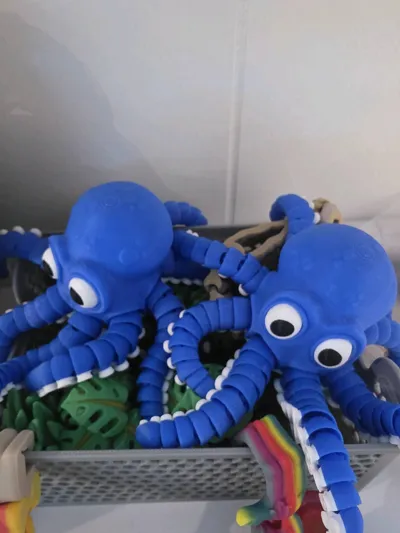 https://makerworld.bblmw.com/makerworld/comment/20260214/2463412360/5f591e49aab5a2af.jpg