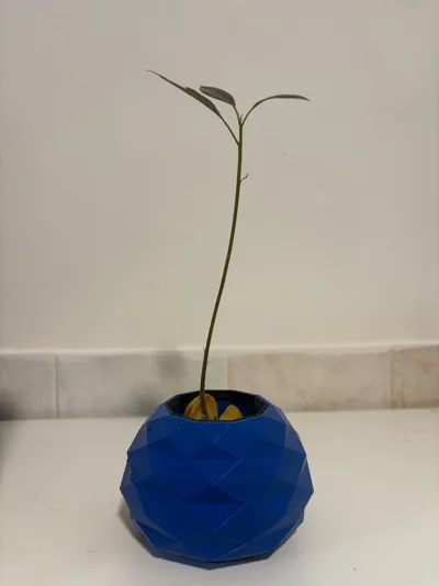 https://makerworld.bblmw.com/makerworld/comment/20260214/2766802031/3cc440d8732daa4a.jpg