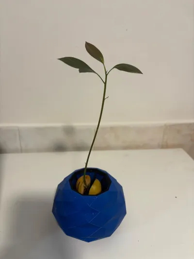 https://makerworld.bblmw.com/makerworld/comment/20260214/2766802031/ad0ffbe5e03fe479.jpg