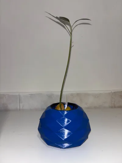 https://makerworld.bblmw.com/makerworld/comment/20260214/2766802031/dbbca5430c922164.jpg
