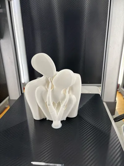 https://makerworld.bblmw.com/makerworld/comment/20260214/2918967352/610342f3f1a1b2fe.jpg