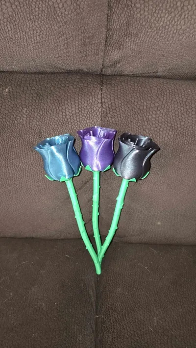 https://makerworld.bblmw.com/makerworld/comment/20260214/3249350517/936d6da42a53a3bc.jpg