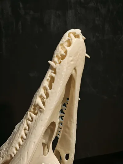 https://makerworld.bblmw.com/makerworld/comment/20260214/3459412579/267fcc57aa4502f2.jpg