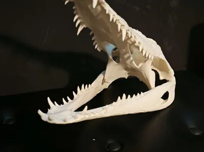 https://makerworld.bblmw.com/makerworld/comment/20260214/3459412579/5d11240ab120b33c.jpg