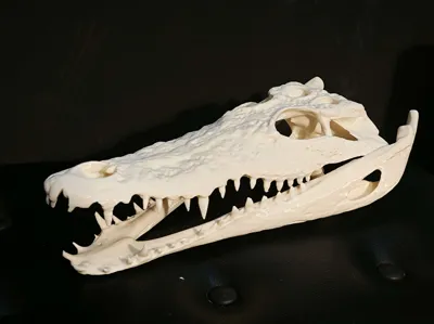 https://makerworld.bblmw.com/makerworld/comment/20260214/3459412579/7e973429fef056bd.jpg