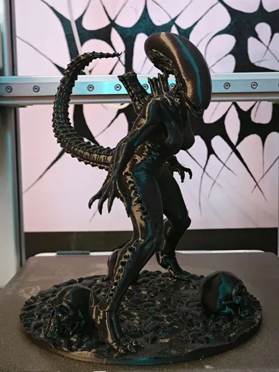 https://makerworld.bblmw.com/makerworld/comment/20260214/3459412579/9ca461d2f2ff8431.jpg
