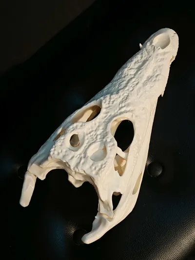 https://makerworld.bblmw.com/makerworld/comment/20260214/3459412579/e36bfdd2f4c6e0c2.jpg