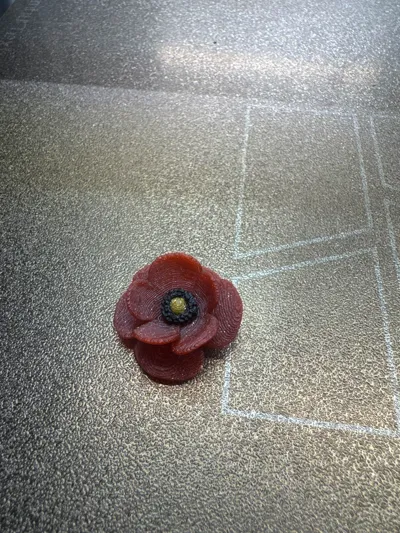 https://makerworld.bblmw.com/makerworld/comment/20260214/3694493423/91ca27770b267ade.jpg
