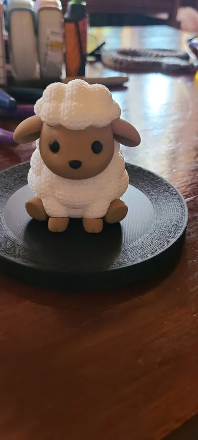 https://makerworld.bblmw.com/makerworld/comment/20260214/3733720847/55069b6ebb290ffc.jpg