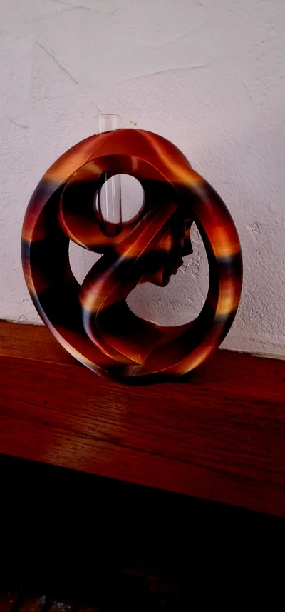 https://makerworld.bblmw.com/makerworld/comment/20260214/3921381925/70bd246464ea6b66.jpg