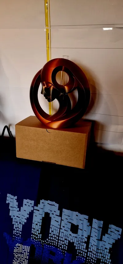 https://makerworld.bblmw.com/makerworld/comment/20260214/3921381925/c77de2d5a2ea6336.jpg