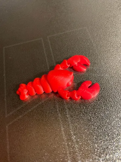 https://makerworld.bblmw.com/makerworld/comment/20260214/4085599366/4613630455ff92b7.jpg
