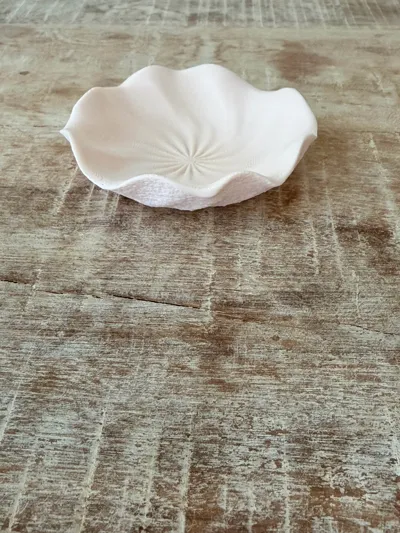 https://makerworld.bblmw.com/makerworld/comment/20260214/448500150/ce239ad8b98faa58.jpg