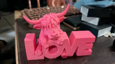 https://makerworld.bblmw.com/makerworld/comment/20260214/722614787/cf5eba0506af57b4.jpg