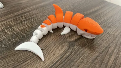 https://makerworld.bblmw.com/makerworld/comment/20260214/887837433/452edea58b030a9b.jpeg