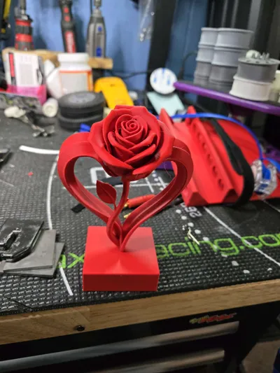 https://makerworld.bblmw.com/makerworld/comment/20260214/906341768/65f9720e031c1432.jpg