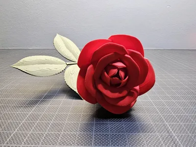 https://makerworld.bblmw.com/makerworld/comment/20260214/991992970/778770e8b846b037.jpg