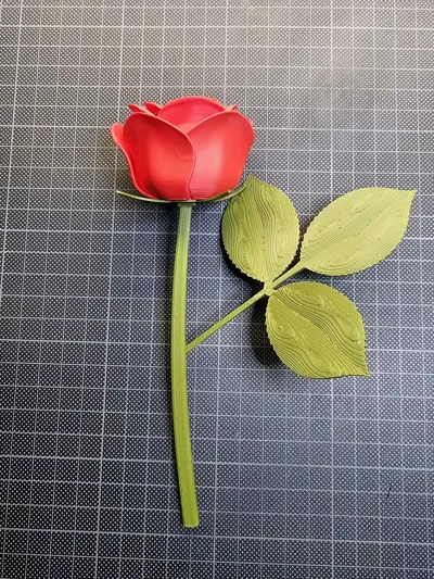 https://makerworld.bblmw.com/makerworld/comment/20260214/991992970/f74ea43a6b32b436.jpg