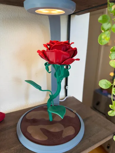 https://makerworld.bblmw.com/makerworld/comment/20260215/1100564753/1cab4fe6566651ae.jpg