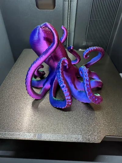 https://makerworld.bblmw.com/makerworld/comment/20260215/1249207841/2e66e64918f7ba1a.jpg