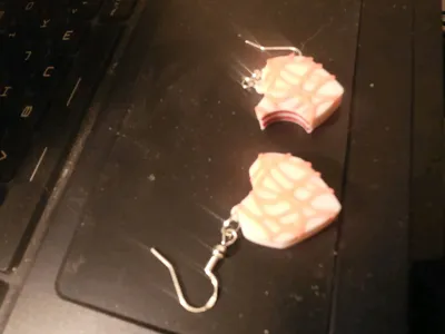 https://makerworld.bblmw.com/makerworld/comment/20260215/1266965086/c6fb57e5d92ec2d6.jpg