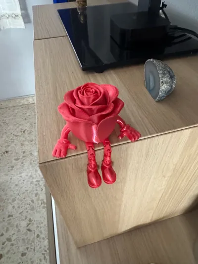 https://makerworld.bblmw.com/makerworld/comment/20260215/1426232885/ca366839664c6588.jpg