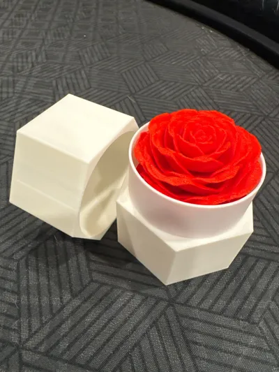 https://makerworld.bblmw.com/makerworld/comment/20260215/2516171067/a6caa70adbe917af.jpg