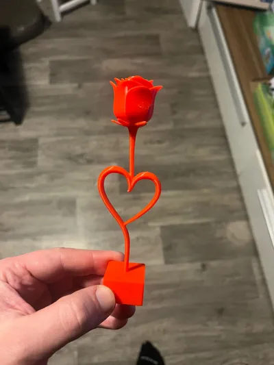 https://makerworld.bblmw.com/makerworld/comment/20260215/2619186174/6be8a4285bd5d0b1.jpg