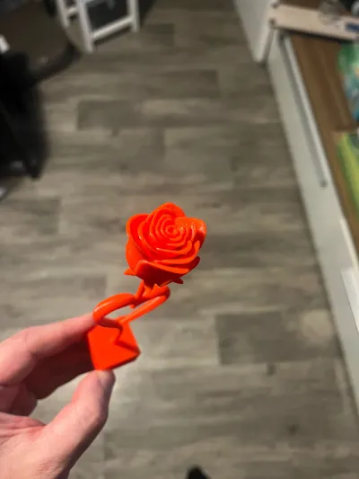https://makerworld.bblmw.com/makerworld/comment/20260215/2619186174/96b5726eb64b07e5.jpg