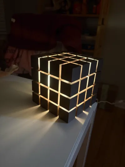 https://makerworld.bblmw.com/makerworld/comment/20260215/2767261584/7f3025d77397f0a7.jpg