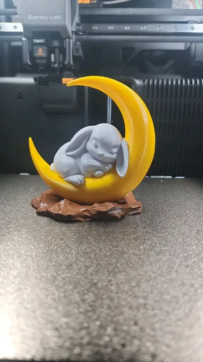 https://makerworld.bblmw.com/makerworld/comment/20260215/2831925157/557322e82612b3cc.jpg