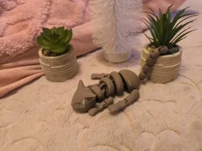 https://makerworld.bblmw.com/makerworld/comment/20260215/2897036577/47ded05abe090201.jpg