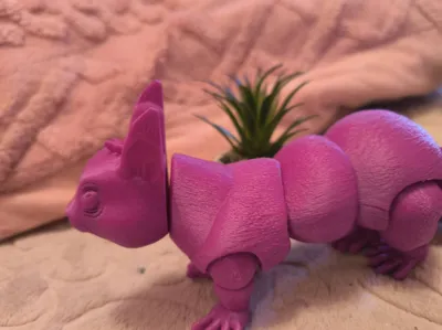 https://makerworld.bblmw.com/makerworld/comment/20260215/2897036577/959c132c0bb56612.jpg