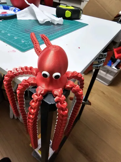 https://makerworld.bblmw.com/makerworld/comment/20260215/3041273191/08c49985d2f9c3ee.jpg