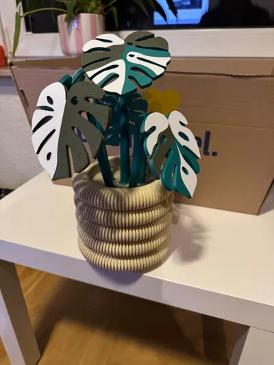 https://makerworld.bblmw.com/makerworld/comment/20260215/3079985407/268f28bb97857dee.jpg