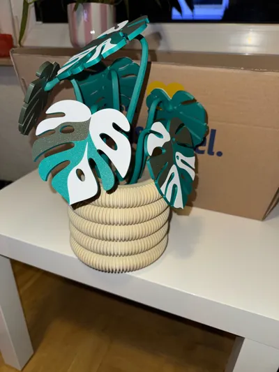 https://makerworld.bblmw.com/makerworld/comment/20260215/3079985407/3f6d4609f3bdf53a.jpg