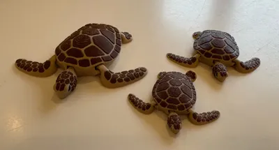 https://makerworld.bblmw.com/makerworld/comment/20260215/3121553798/68626d4e9dc8cafd.jpg