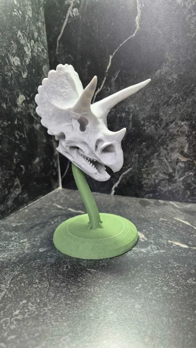 https://makerworld.bblmw.com/makerworld/comment/20260215/3150680994/c234bf1bca541e1b.jpg