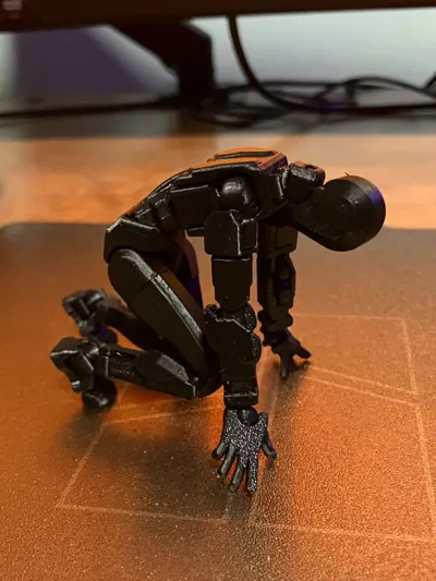 https://makerworld.bblmw.com/makerworld/comment/20260215/3162392967/acf5509cb141d7e1.jpg