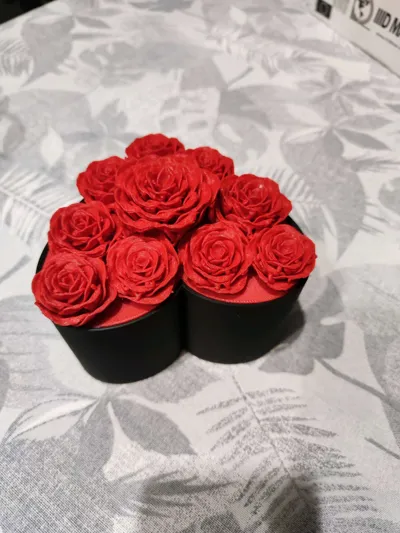https://makerworld.bblmw.com/makerworld/comment/20260215/3163404264/4afed07923667914.jpg