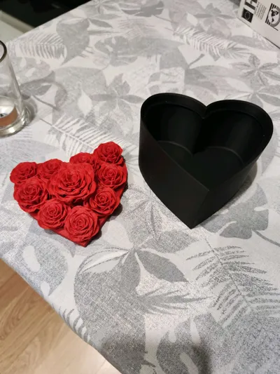 https://makerworld.bblmw.com/makerworld/comment/20260215/3163404264/527a39da43194b5e.jpg
