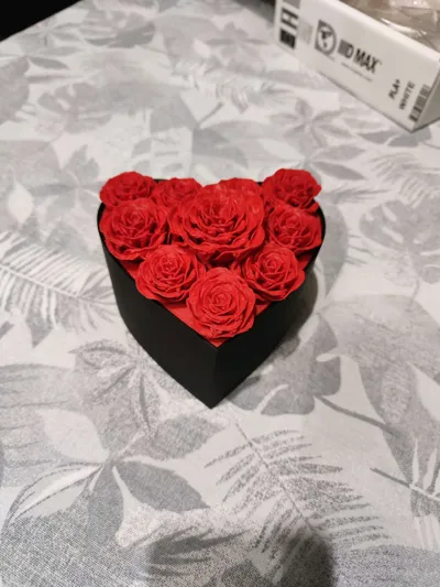 https://makerworld.bblmw.com/makerworld/comment/20260215/3163404264/b2a1a885a0d8fa57.jpg