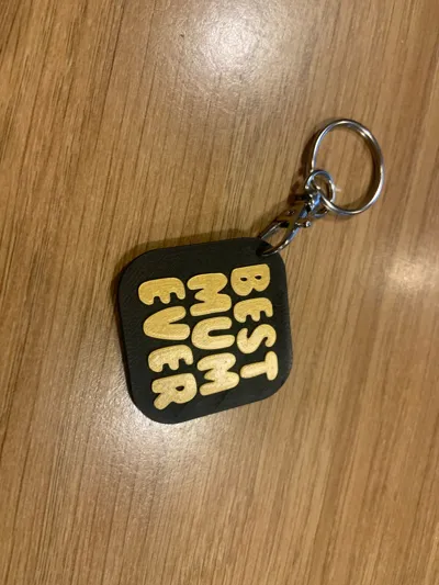 https://makerworld.bblmw.com/makerworld/comment/20260215/3301306464/f40c60c752dd0f69.jpg