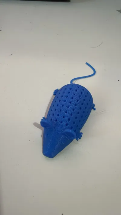 https://makerworld.bblmw.com/makerworld/comment/20260215/3434660326/96b76a25295c83fc.jpeg