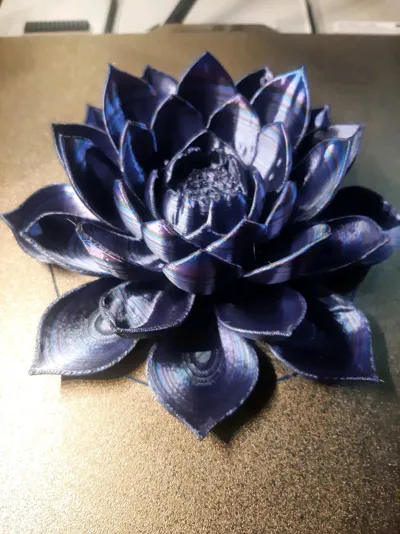 https://makerworld.bblmw.com/makerworld/comment/20260215/3512225983/7a871d054b632b0d.jpg