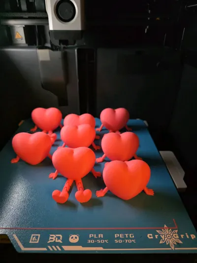 https://makerworld.bblmw.com/makerworld/comment/20260215/359372614/07370c3fdda6f631.jpg